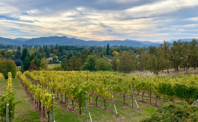 A Toast to Our Southern Oregon Clients and Communities