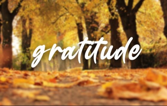 INTENTIONAL GRATITUDE