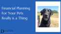 Financial Planning For Your Pets Really is a Thing