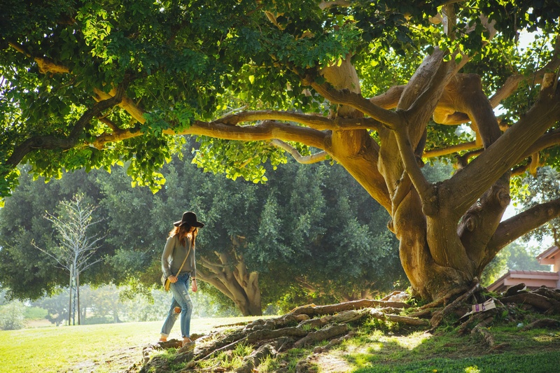 Why Do Financial Plans Break Down During Life Transitions?