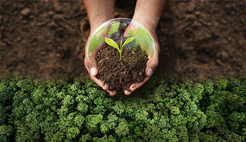From Home Management to Planet Management