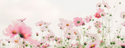 Spring Into Financial Transparency