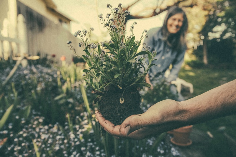 Maximize Tax Benefits with Charitable Trusts