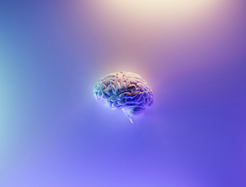 How financial stress can affect your brain
