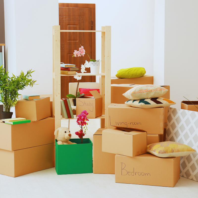 Women and Wealth: When Your Adult Child Moves Back Home