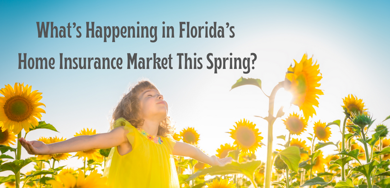 What’s Happening in Florida’s Home Insurance Market This Spring? A 2026 Update for Homeowners