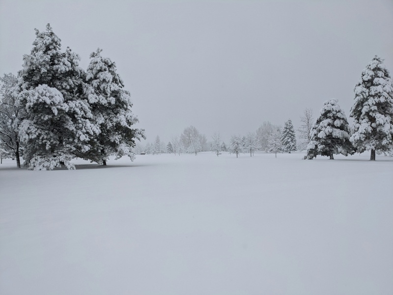 5 Essential Tips to Prepare for a Snowstorm