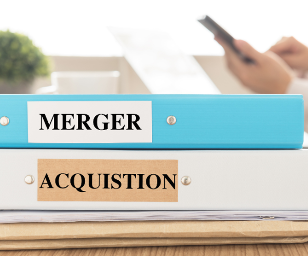 What to Do with Your 401(k) and Investments After a Company Merger