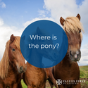 There Must Be A Pony In Here Somewhere!