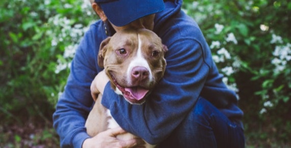 Client Spotlight: Wanda Morgan - Dog's Best Friend