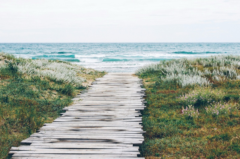 Participant Corner: Navigating Health Savings: Your HSA Guide