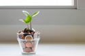 Maximizing your use of the AbbVie 401(k) Savings Plan