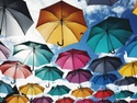 Impel Wealth's Professional Advisory Network- Personal Umbrella Liability Coverage