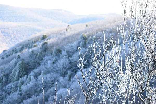 Ice Damage in Tennessee and Its Impact on Insurance