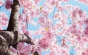 Time to Spring Forward!
