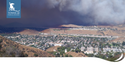 Recovering from a Wildfire