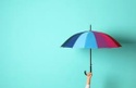 The Safety Net You Didn't Know You Needed: The Importance of Having Umbrella Insurance