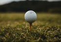 Balancing Life's Risks - How to Conduct an Insurance Audit