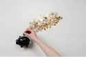 401(k) Contribution Limits for 2023