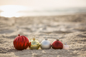 Festive Fun in the Sun: Holiday Events in the Tampa Bay Area