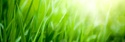 Your Grass is Greener Than You Think