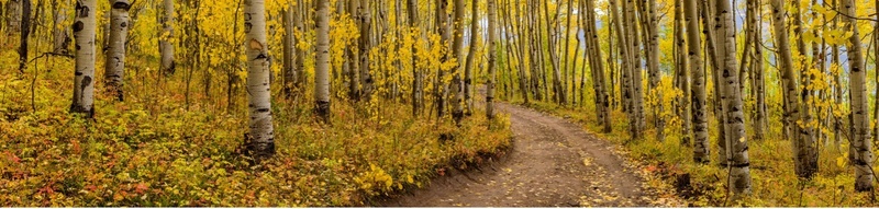 Maximize Retirement with Year-End Financial Moves