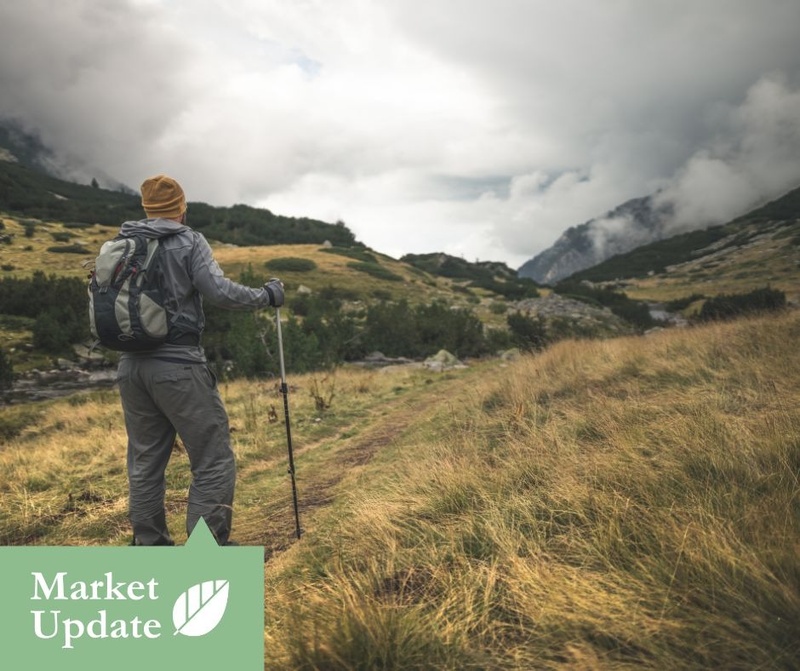 Market Update | November 18, 2024