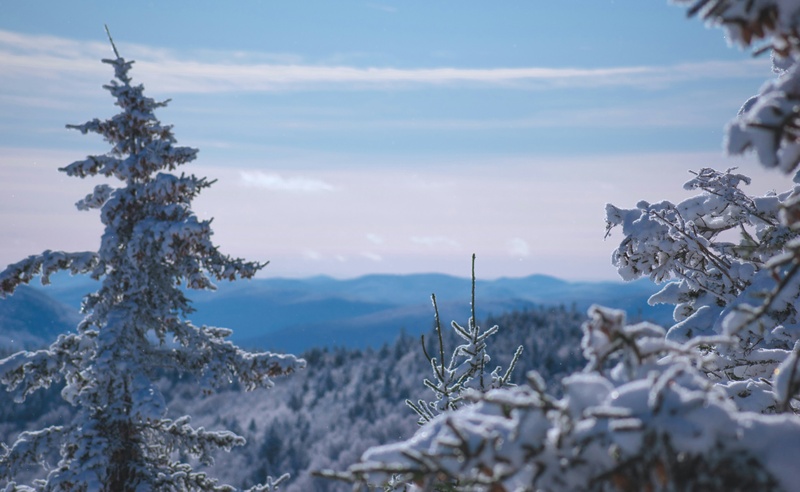 Winter in the Northeast: A Homeowner's Guide and Insurance Tips