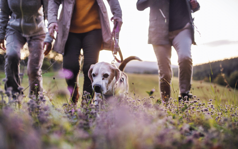 How to Spring Clean Your Finances with a Financial Review