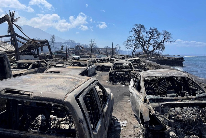 Maui Wildfires