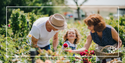 Independent and Thriving: What to Consider In Your Later Years