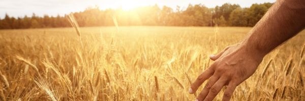 Your Financial Harvest: 10 Smart Moves to Reap the Rewards Before Year-End