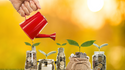 Creating a Healthy Financial Portfolio With Agemy Financial Strategies