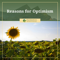 Reasons for Optimism