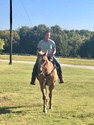 Life on the Farm