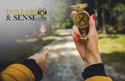No Need to Chase a Speculators Counsel, Stick to Your Plan