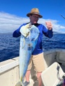 Advisor Spotlight: David Ferland
