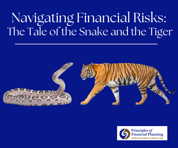 Navigating Financial Risks: The Tale of the Snake and the Tiger