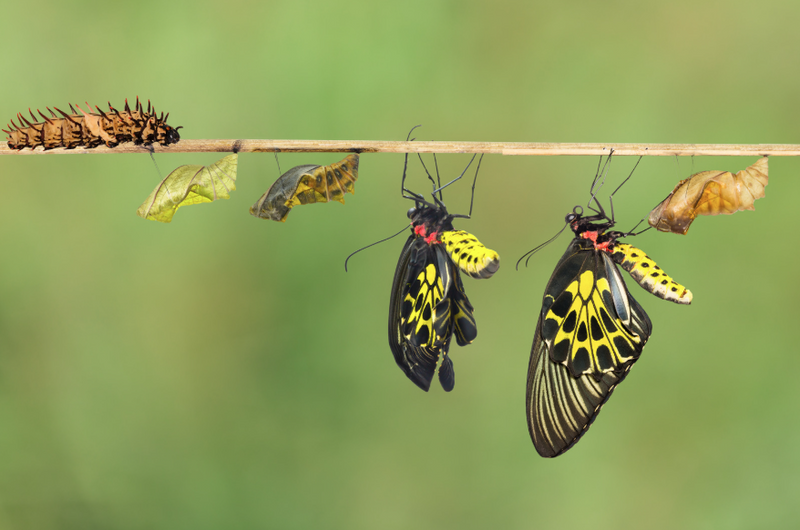 How Major Events Influence Financial Thinking