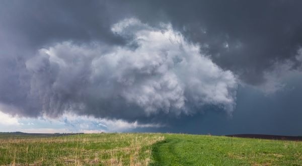 Stormy Summer?