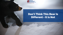 Don’t Believe That This Bear is Different – It’s Not