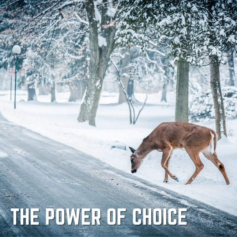 The Power of Choice