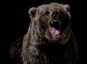 A Bear Market Is Officially Here