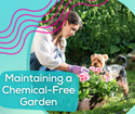 Maintaining a Chemical-Free Garden
