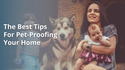 The Best Tips For Pet-Proofing Your Home