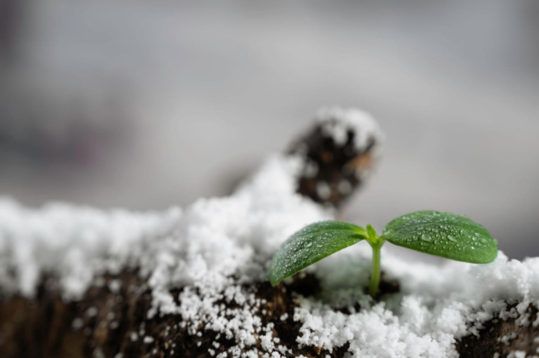 The Final Days of Winter — And What They Teach Us About Markets