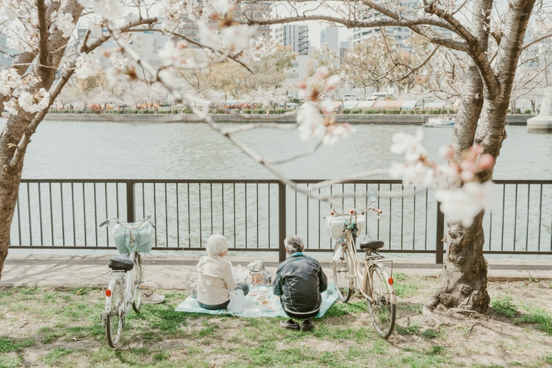 How to Reduce Taxes in Retirement (A Strategic Approach for High Net Worth Households)