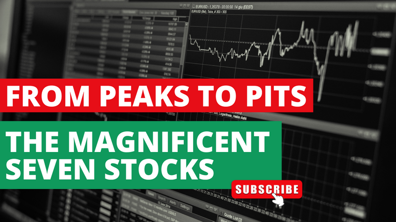 EP 244: From Peaks to Pits: The Full Picture of the Magnificent Seven Stocks