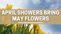 April Showers Bring May Flowers