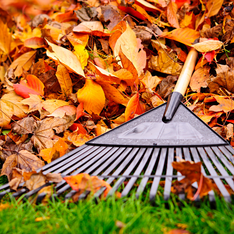 Fall Safety Tips for Outdoor Industries
